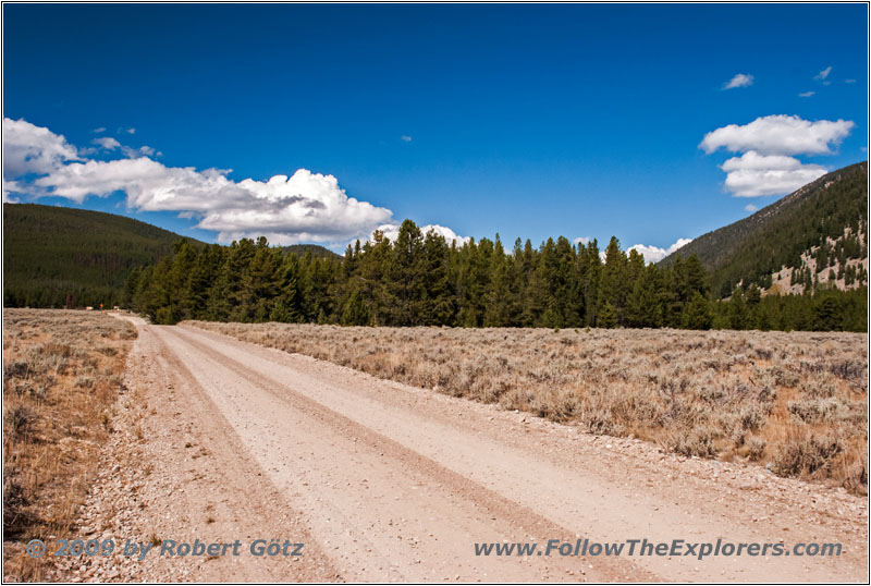 FR181/Bloody Dick Rd, MT