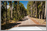 Bloody Dick Rd, MT