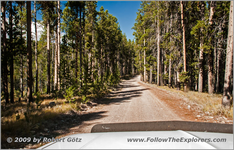 Bloody Dick Rd, MT