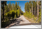 Bloody Dick Rd, MT
