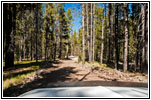 Bloody Dick Rd, MT