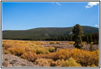 Skinner Meadows Rd, MT