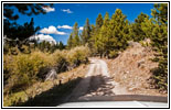 Berry Creek Rd, MT