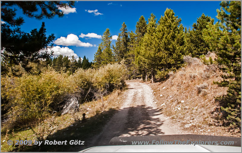 Berry Creek Rd, MT