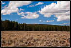 Berry Creek Rd, MT