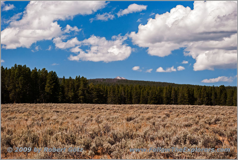 Berry Creek Rd, MT