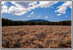 Berry Creek Rd, MT
