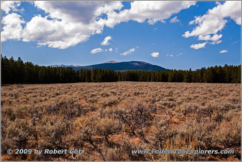 Berry Creek Rd, MT