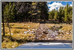 Berry Creek Rd, MT