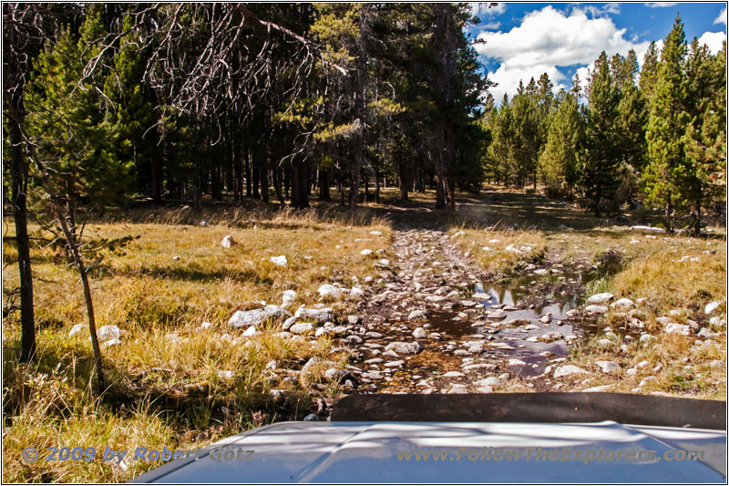 Berry Creek Rd, MT