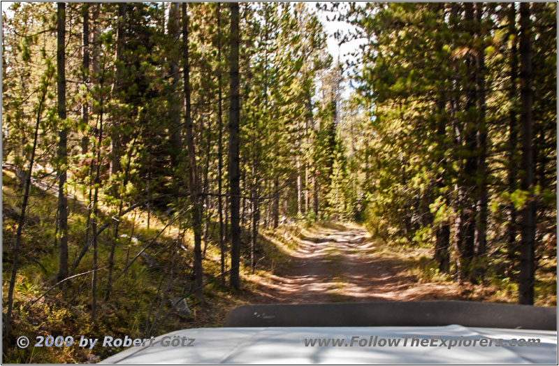 Berry Creek Rd, MT