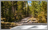 Berry Creek Rd, MT