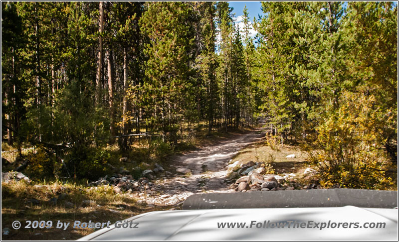 Berry Creek Rd, MT