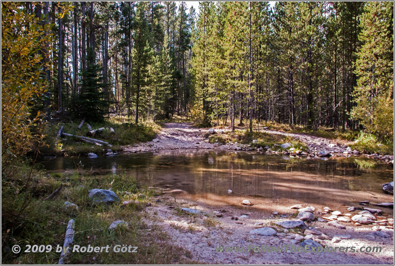 Berry Creek Rd, Berry Creek, MT