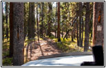 Berry Creek Rd, MT