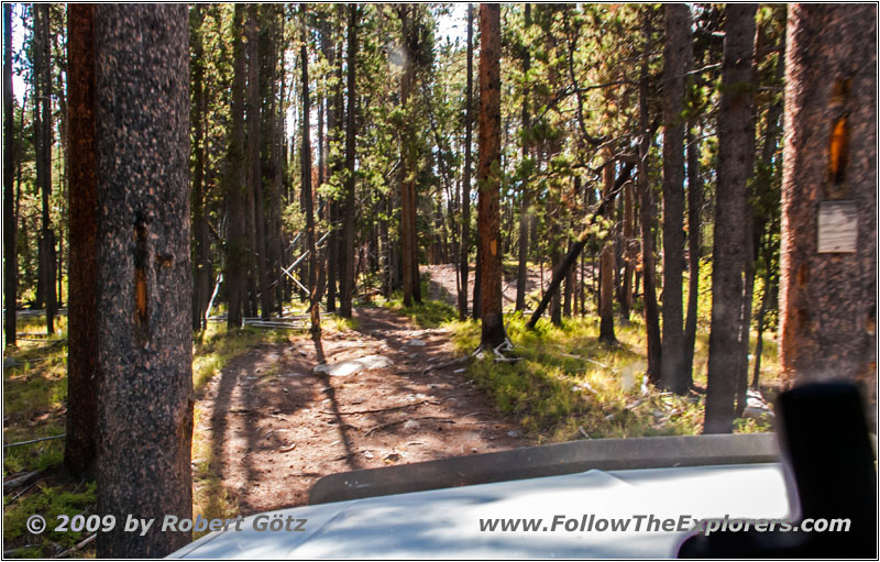 Berry Creek Rd, MT