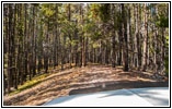 Berry Creek Rd, MT