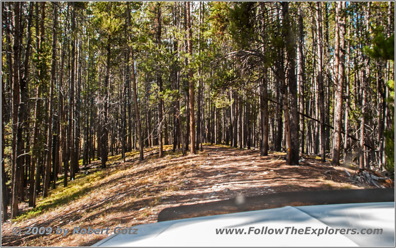 Berry Creek Rd, MT