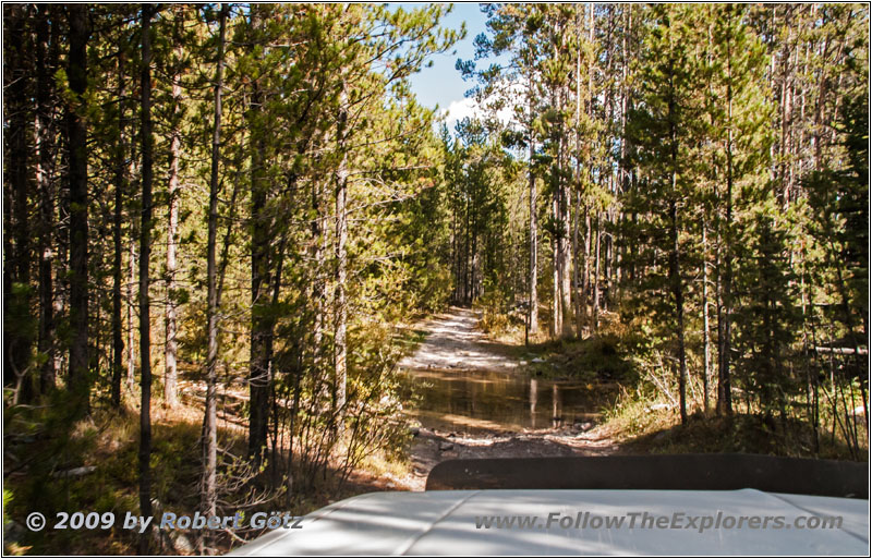 Berry Creek Rd, Berry Creek, MT