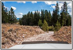 Berry Creek Rd, MT