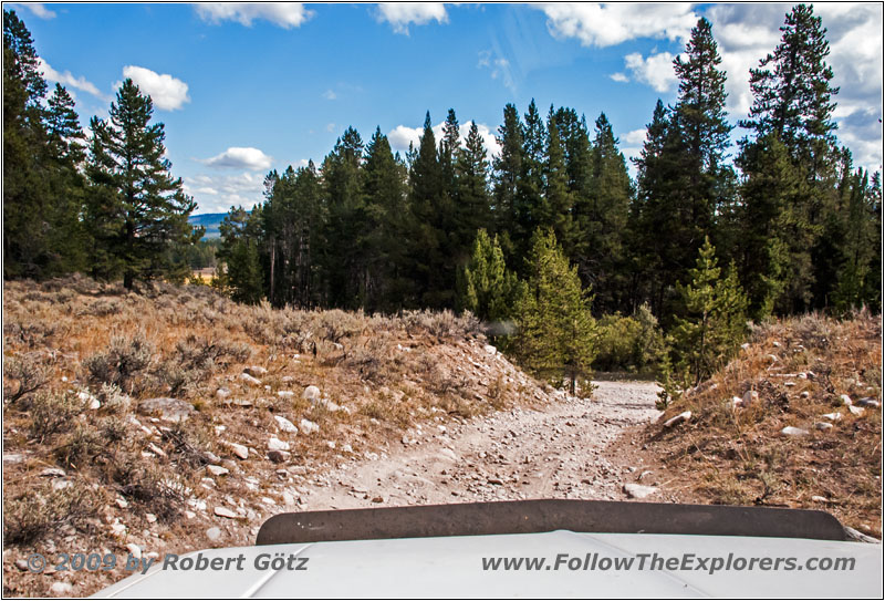 Berry Creek Rd, MT