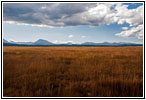 Little Lake Creek Rd, MT