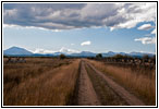 Little Lake Creek Rd, MT