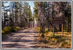 FR106/Bitterroot-Big Hole Rd, MT
