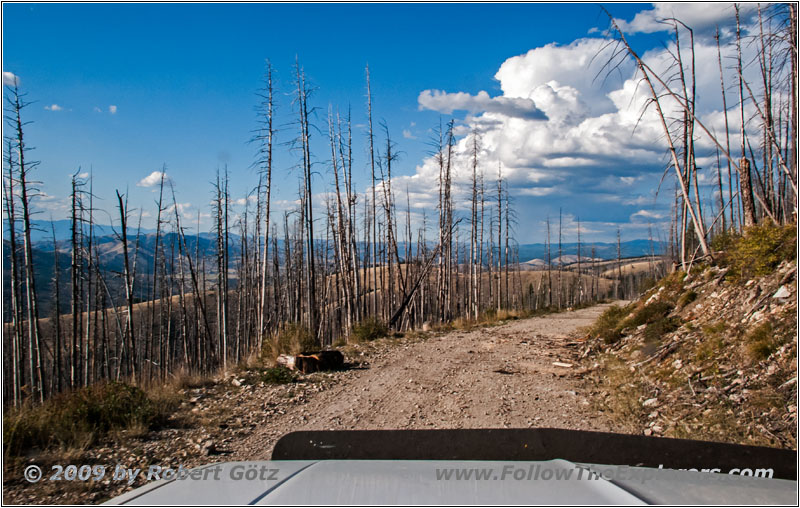 FR106/Bitterroot-Big Hole Rd, MT