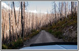 FR106/Bitterroot-Big Hole Rd, MT