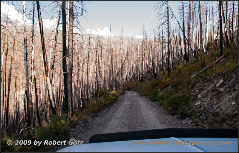 FR106/Bitterroot-Big Hole Rd, MT