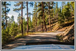 FR106/Bitterroot-Big Hole Rd, MT