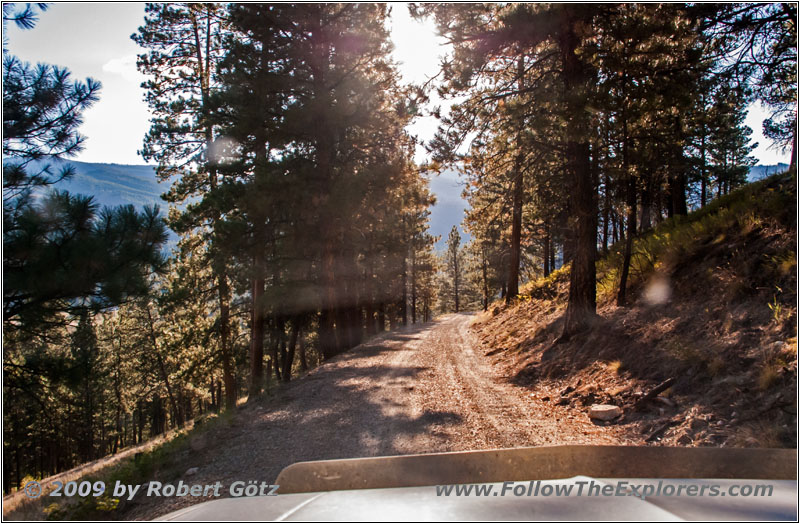 FR106/Bitterroot-Big Hole Rd, MT