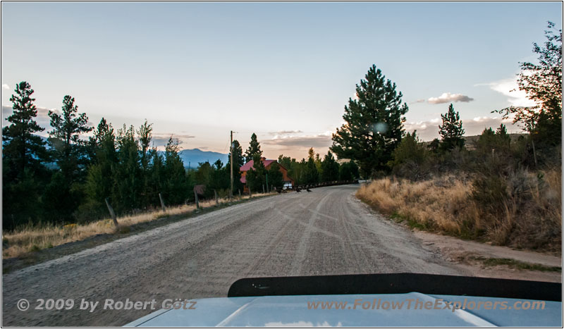 Old Darby Rd, MT