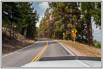 Big Flat Rd, MT