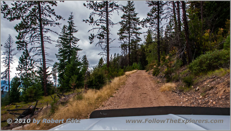 FR378/Thompson De Borgia Rd, Montana