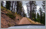 FR378/Thompson De Borgia Rd, Montana