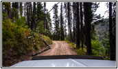 FR378/Thompson De Borgia Rd, Montana