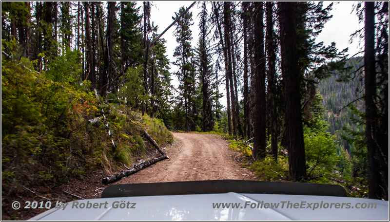 FR378/Thompson De Borgia Rd, Montana