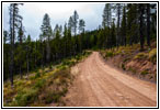 FR378/Thompson De Borgia Rd, Montana