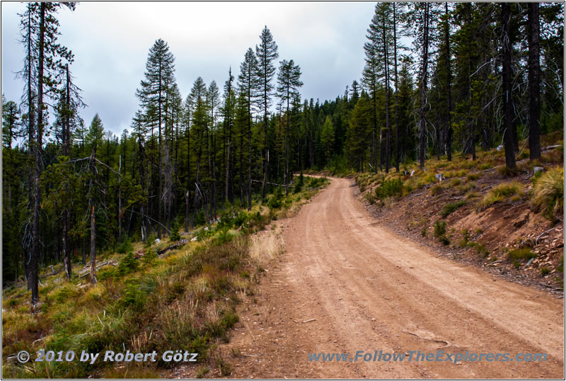 FR378/Thompson De Borgia Rd, Montana