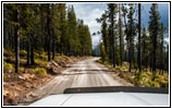 FR378/Thompson De Borgia Rd, Montana