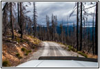 FR378/Thompson De Borgia Rd, Montana