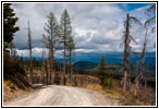 FR378/Thompson De Borgia Rd, Montana