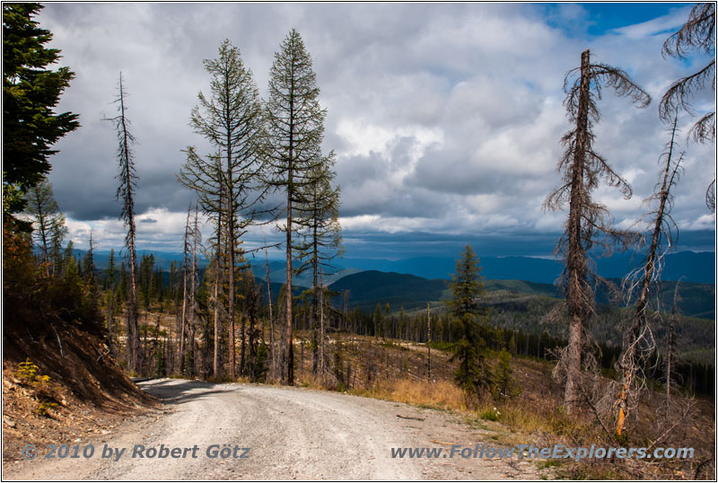FR378/Thompson De Borgia Rd, Montana