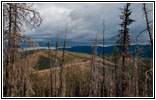 FR378/Thompson De Borgia Rd, Montana
