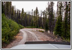 FR378/Thompson De Borgia Rd, Montana