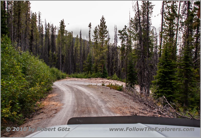 FR378/Thompson De Borgia Rd, Montana
