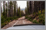 FR378/Thompson De Borgia Rd, Montana