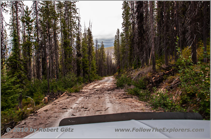 FR378/Thompson De Borgia Rd, Montana